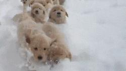 lv阿玛尼香奈儿纪梵希,lv阿玛尼纪梵希