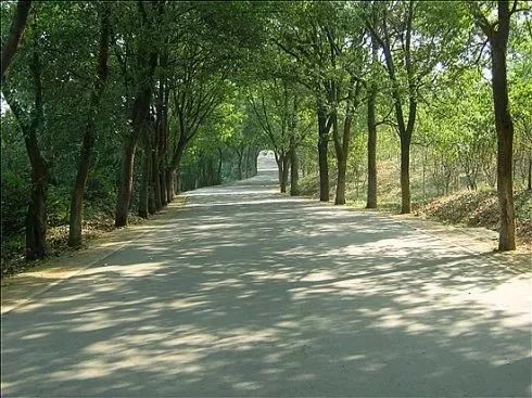 新的一年,蔡甸这些东西统统免费!不知道你就亏大了!