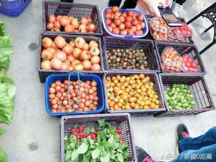 阜康五江温泉城度假城,新疆温泉县旅游攻略一日游