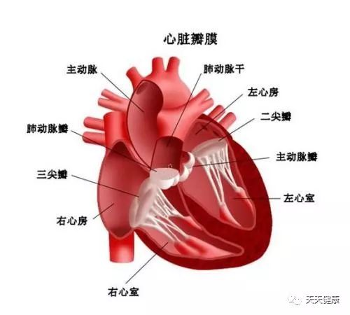 当前季节心脏病人的注意事项,心脏病冬季早上能锻炼吗
