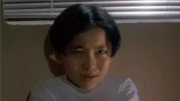 中南海保镖小男孩是谁扮演的,中南海保镖所有角色