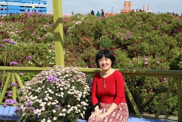 盖兆泉论英语学习,盖兆泉3-15岁英语学习规划