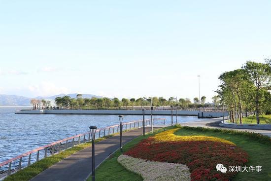 深圳新好玩的免费景点,深圳新出好玩的地方