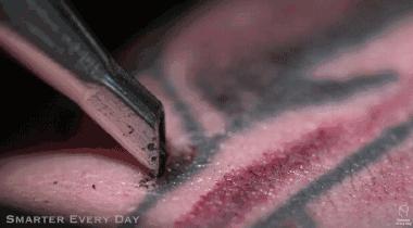 纹身的也是你,洗纹身的也是你!这些动图看完,我都替你疼……