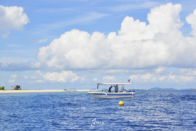 【一只熊的冒险】薄荷色夏日梦，马来西亚沙巴亚庇仙本那历险记——敦沙卡兰海洋公园（完）