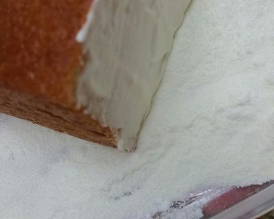 奶酪包,奶酪包与猫