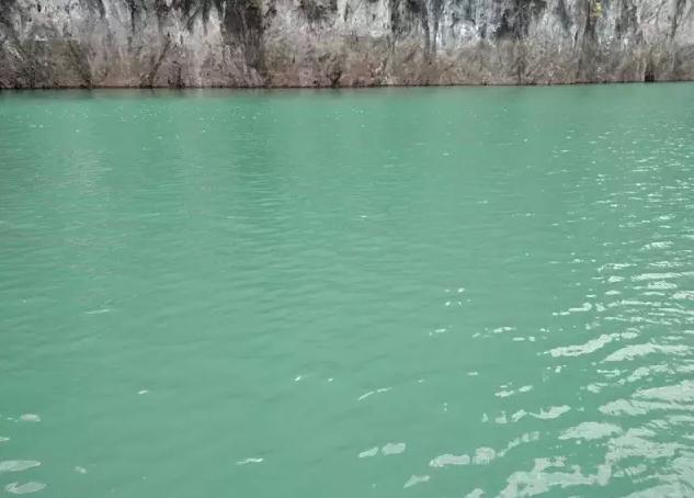 钓鱼探钓达人,钓鱼达人视频海钓