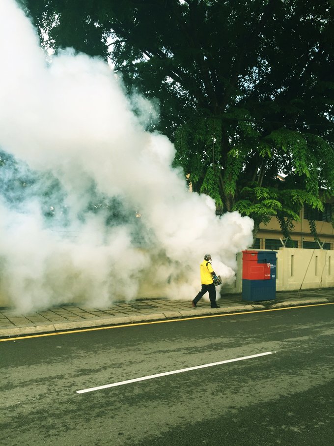 【一只熊的冒险】薄荷色夏日梦，马来西亚沙巴亚庇仙本那历险记——敦沙卡兰海洋公园（完）