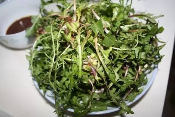 这6种海鲜要多吃,这6种野菜你都吃过吗