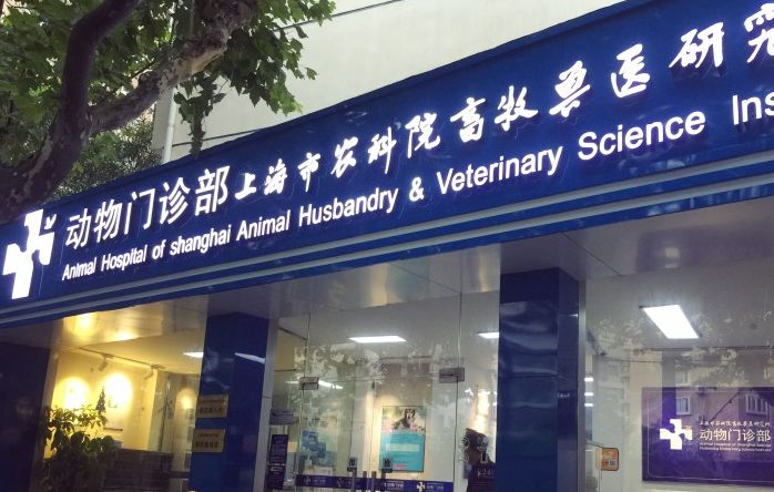 妙手仁心救我狗命锦旗,妙手仁心宠物医院