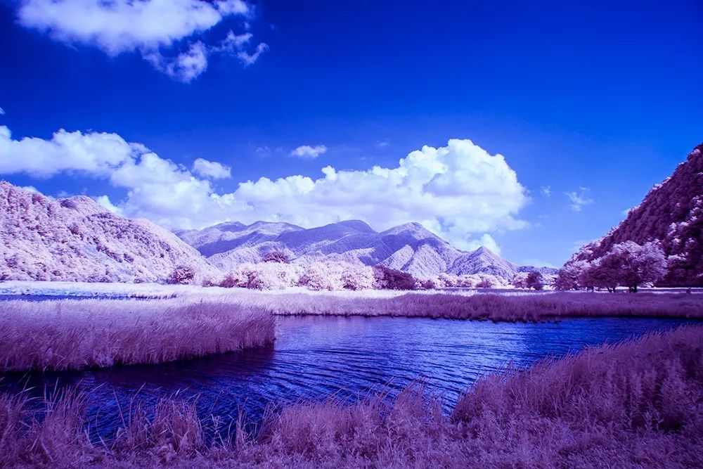 今天起，这些东西统统免费！湖北人又能省一大笔钱了！