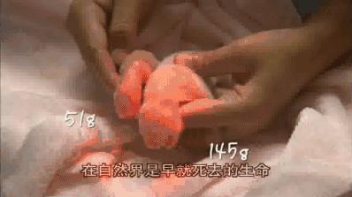 送福利元旦活动来一波,元旦送福利来啦