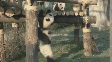 送福利元旦活动来一波,元旦送福利来啦