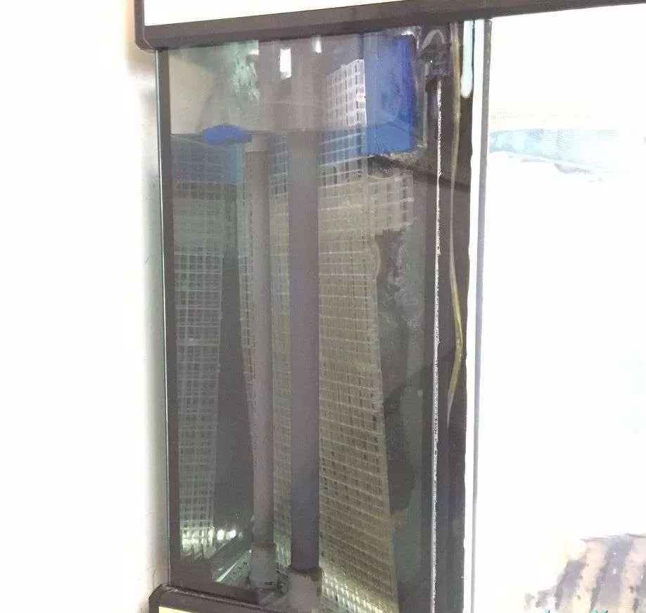 历时4个月，亲手做的缸终于运行！