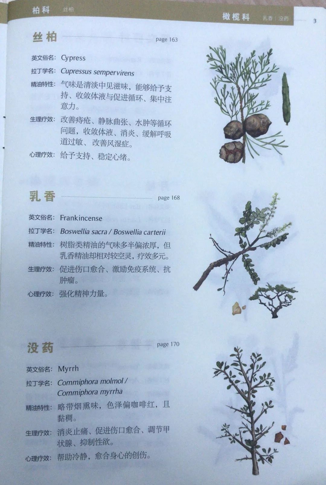 三王节,三王节互赠礼物