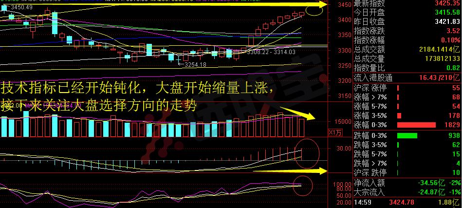 十全大补丸，新年新气象——骑牛看熊1月11日淘金收评
