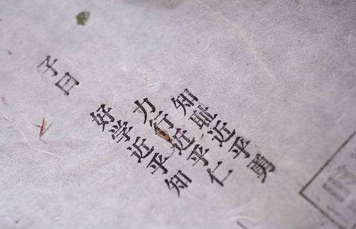 刘梦溪谈钱钟书,刘梦溪著名事迹