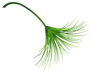 荔波汽车站发车时刻表,荔波最新公交车路线图