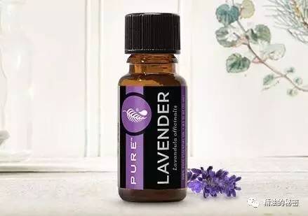 薰衣草精油功效与作用,薰衣草精油泡脚的功效与作用