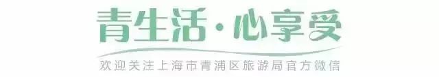 17号线东方绿舟报站,17号线东方绿舟上海