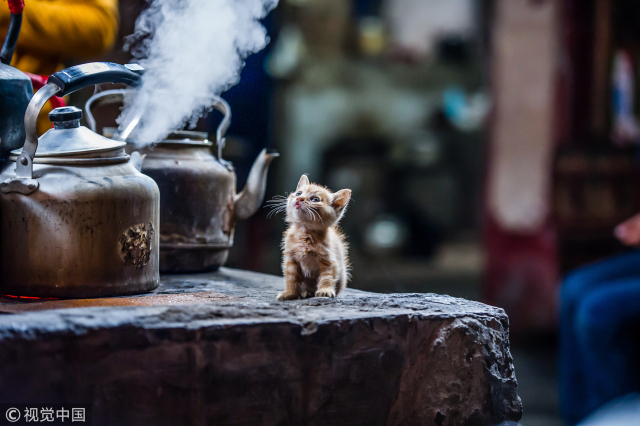 瓷砖上的水垢用什么清洗干净,淋浴房玻璃水垢怎么清洗干净