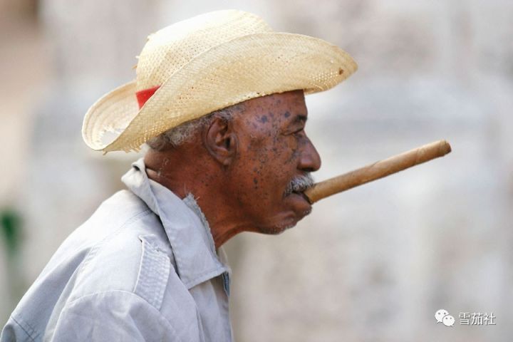 抽雪茄抽晕了怎么缓解,抽雪茄怎么防止过肺