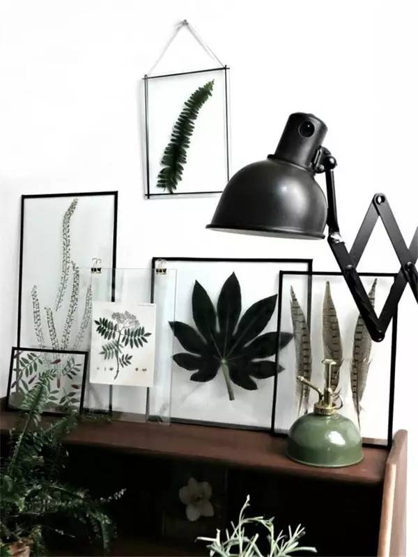 自己在家怎么做植物标本 (秋天如何做植物标本)