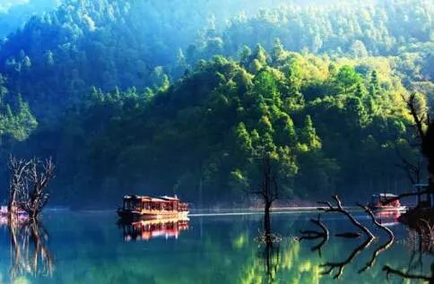 冬季深圳短途自驾一日游,深圳周边游玩好城市