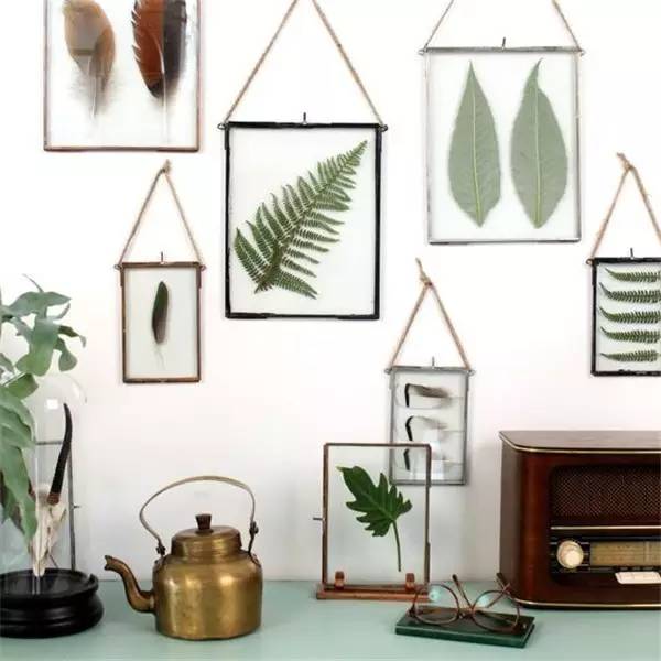 自己在家怎么做植物标本 (秋天如何做植物标本)