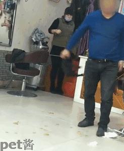 男子虐待狗狗后续,男子疑虐待自家宠物狗