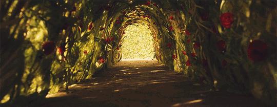 生活需要一点仪式感视频,生活需要一点仪式感什么意思