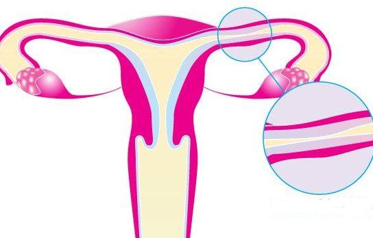 最远的距离不是海角天涯,最远的距离不是千里万里