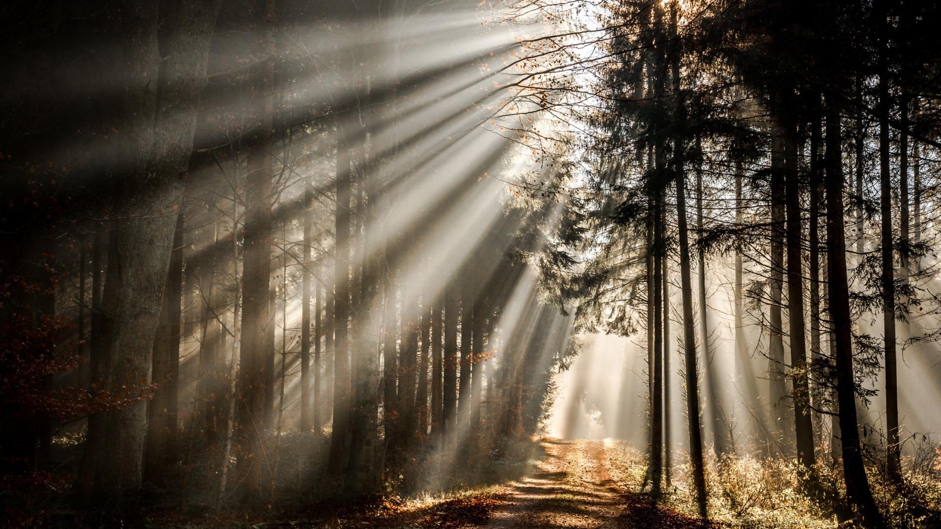 如何战胜自己的恐惧心理,怎么战胜自己焦虑恐惧心理