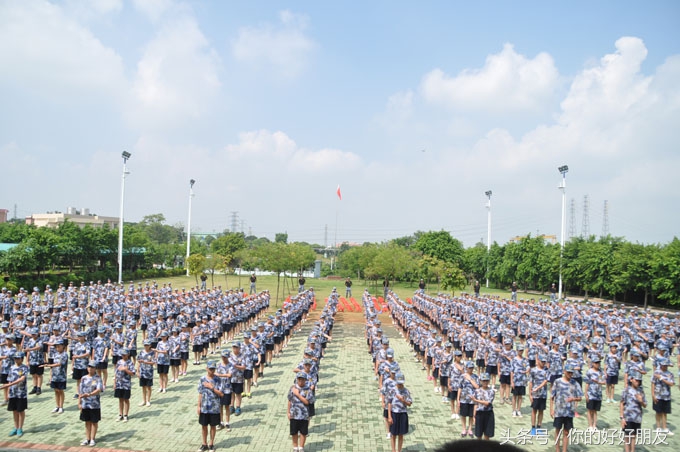 黄埔军官夏令营为什么可以火成那样!