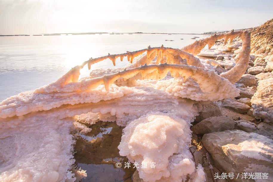 不会游泳的小明腰腹力量,不会游泳的小明学游泳