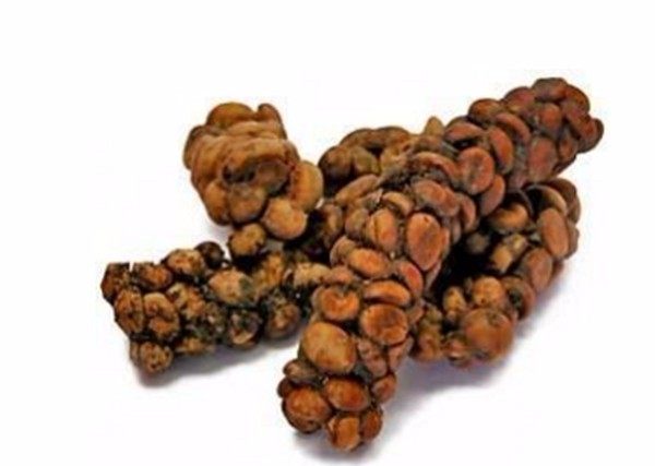 世界最珍贵的五种食材,世界最珍贵的九种食材