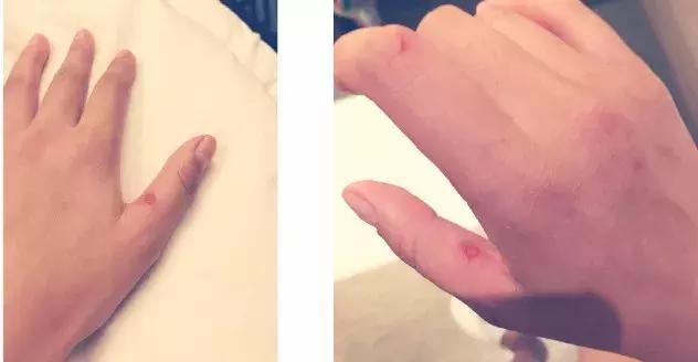 辛芷蕾直面野心又傲气完整版,辛芷蕾把欲望和野心写在脸上