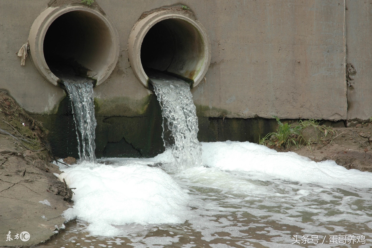 畜禽养殖散养户缴纳环保税,养殖环保税是每年吗