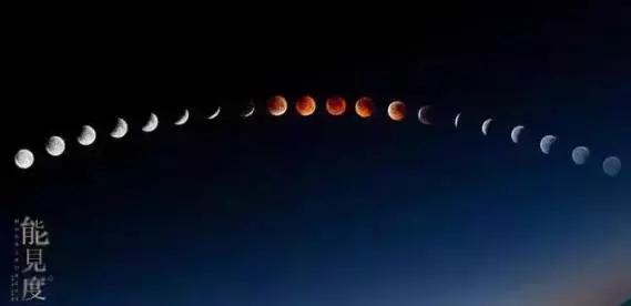 暴雪天，魔都点击量最高“双人展”陪你抗雪，强势回归，脑洞更大