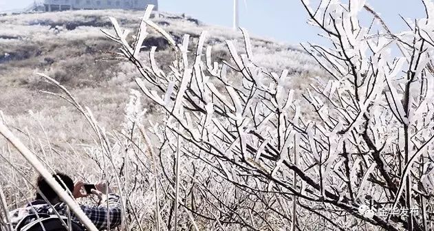 2018年浙江地方景点旅游日历大合集!含杭州,建德,温州,金华!