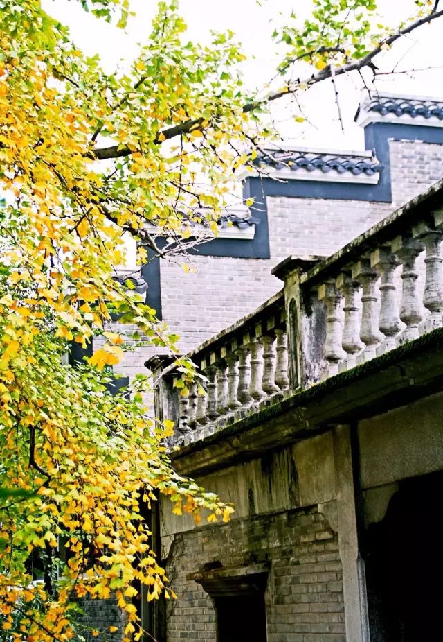 2018年浙江地方景点旅游日历大合集！含杭州，建德，温州，金华！