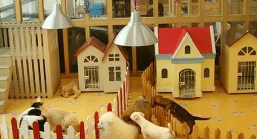 4个月宝宝咳嗽妈妈吃药有用吗,4个月宝宝咳嗽妈妈吃药管用吗