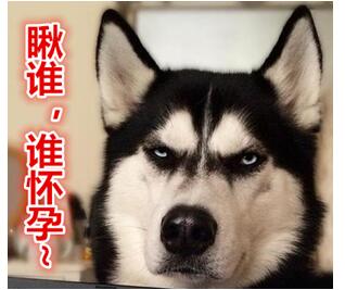 港真，从备孕到怀孕，你花了多长时间？