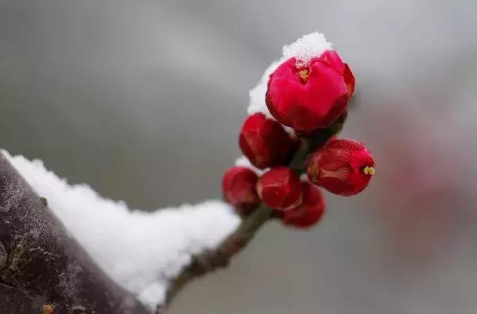 感慨历史变迁的古诗名句,表达岁月沧桑的古诗句大全