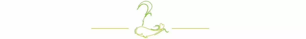 马来西亚过境签可以去哪,无攻略去马来西亚