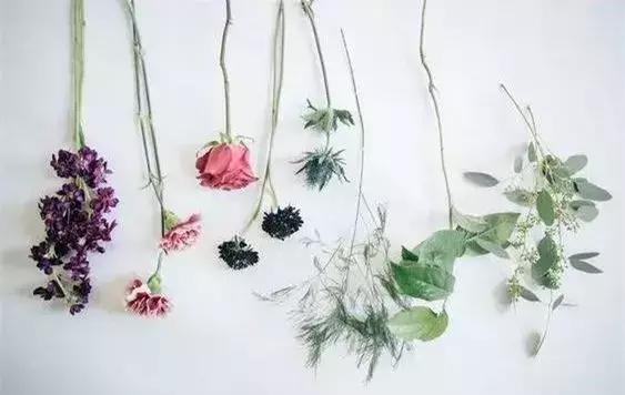 鲜花混搭插花教程,家里鲜花插花教程新手入门