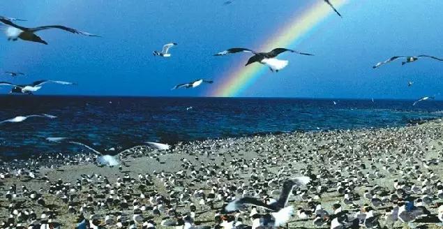 塞班岛怎么玩最便宜,塞班岛必玩10个项目