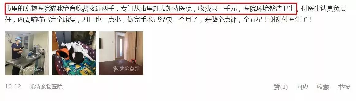 铲屎官宠物诊所,铲屎官宠物医院优惠