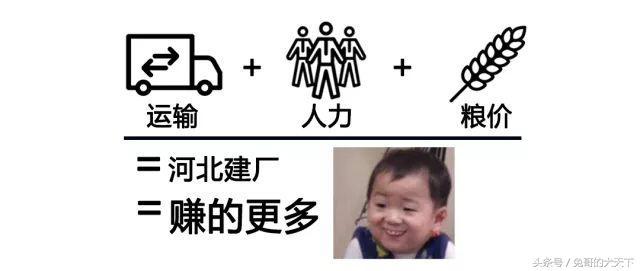 河北宠粮怎么样,河北宠粮