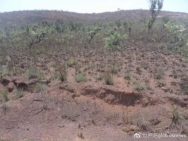 拯救世界的刚果湿地,能否拯救当地人的生活?